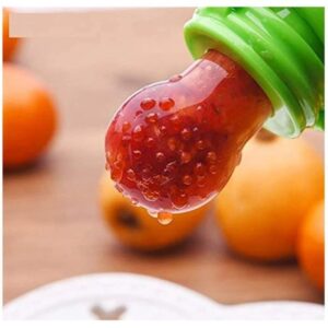 2 in 1 Baby Food/Fruit Feeder + Teether