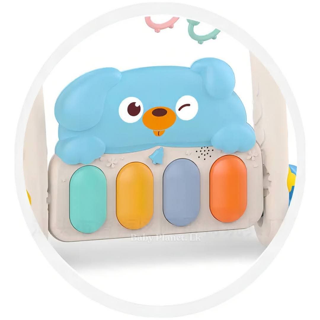 Huanger 2 in 1 Baby Piano Fitness Rack and Activity Walker