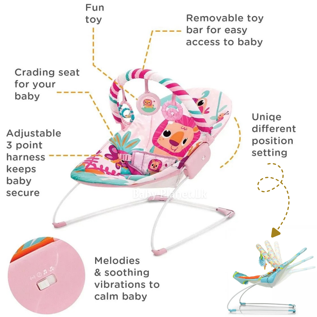 Mastela Music and Soothe Baby Bouncer (Multicolour – Neutral Design) (Copy)